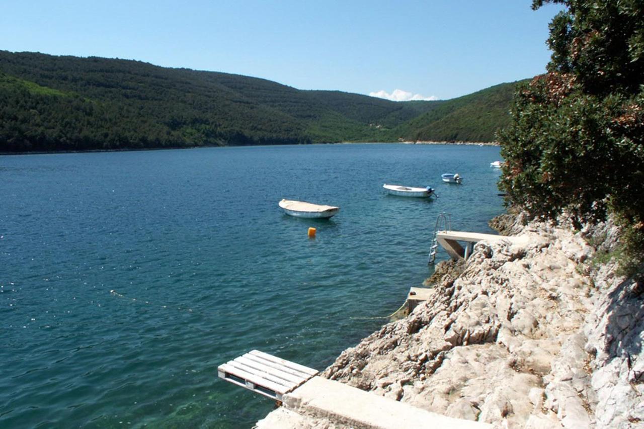 Apartments By The Sea Duga Luka - Prtlog, Labin - 2335 Экстерьер фото